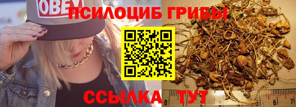 Галлюциногенные грибы Psilocybe  цена наркотик  Минусинск  Вход с VPN 